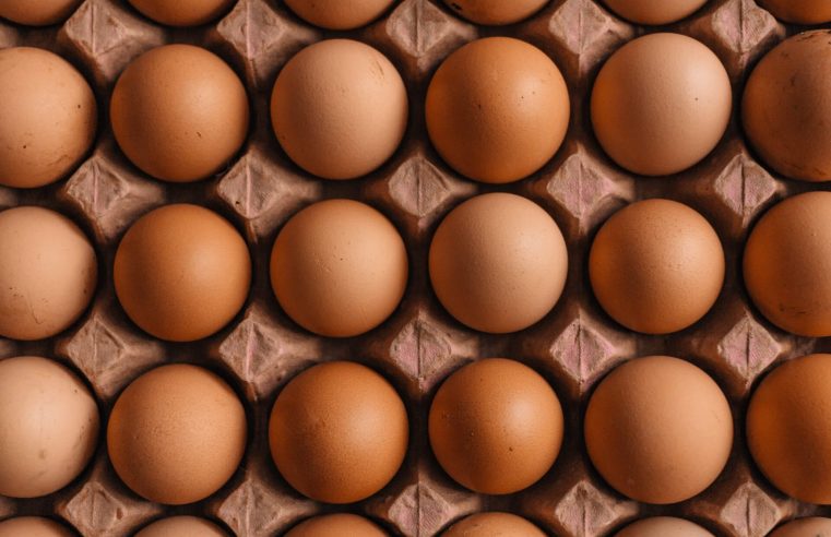 Quais os benefícios do ovo